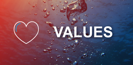 Company-Values image