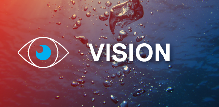 company Vision image